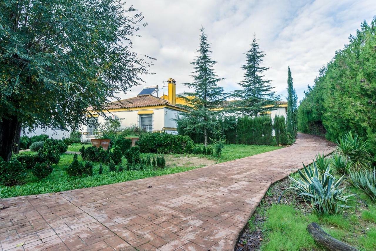 Апартаменти Casa Elizabeth Palomares del Rio Екстер'єр фото